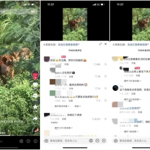 云南日报：是上山遇到了“老虎”，还是上网遇到了谣言？ ...